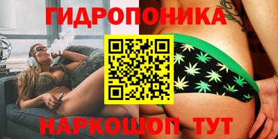 PSILOCYBIN Аша