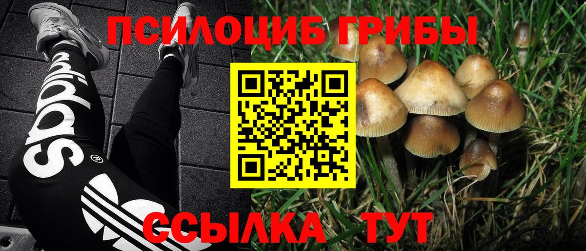 Галлюциногенные грибы мицелий Златоуст