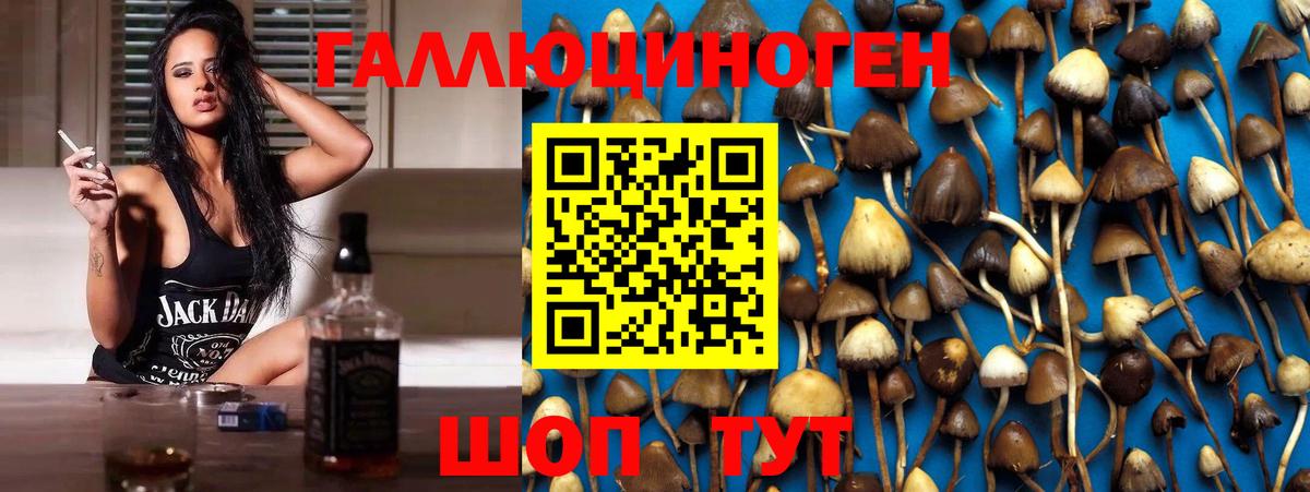 Псилоцибиновые грибы мухоморы  Вход с VPN  Златоуст 